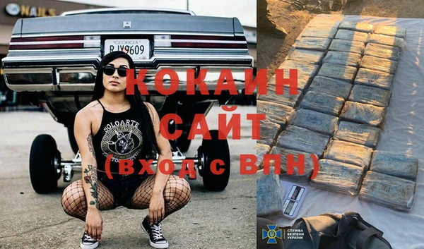 стаф Кинешма