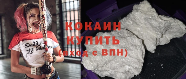 стаф Кинешма