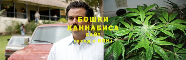 стаф Кинешма